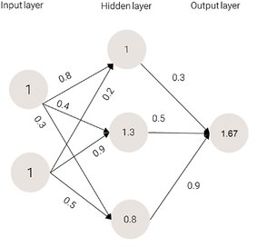 The output value of the network in Machine Learning