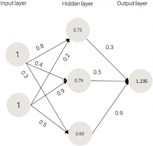 Hidden Layer in Artificial Neural Networks and Machine learning