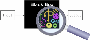 The Deep Neural Networks are “black boxes”