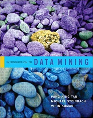 Introduction to Data Mining 1st Edition